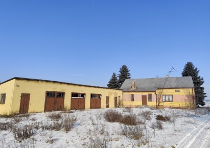 działka na sprzedaż - Łowicz (gw), Małszyce