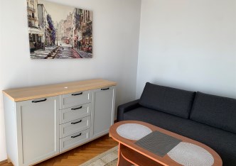 mieszkanie na wynajem - Łódź, Śródmieście, Deptak