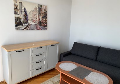 mieszkanie na wynajem - Łódź, Śródmieście, Deptak