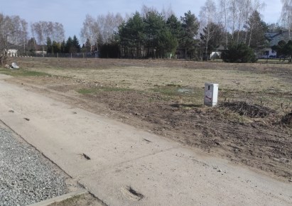 działka na sprzedaż - Aleksandrów Łódzki (gw), Budy Wolskie, Izabelin