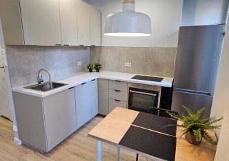 mieszkanie na wynajem - Łódź, Śródmieście