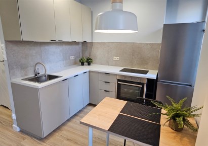 mieszkanie na wynajem - Łódź, Śródmieście