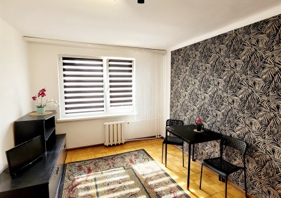 mieszkanie na wynajem - Bełchatów