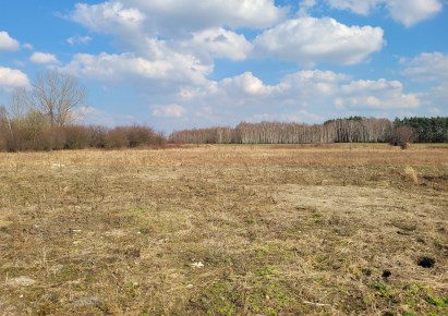 działka na sprzedaż - Bełchatów (gw), Dobiecin