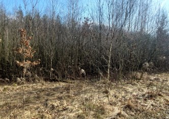 działka na sprzedaż - Łódź, Górna, Kolumny