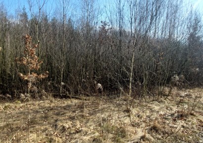 działka na sprzedaż - Łódź, Górna, Kolumny