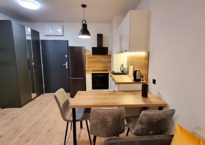 mieszkanie na wynajem - Łódź, Śródmieście, POMORSKA-KOPCIŃSKIEGO