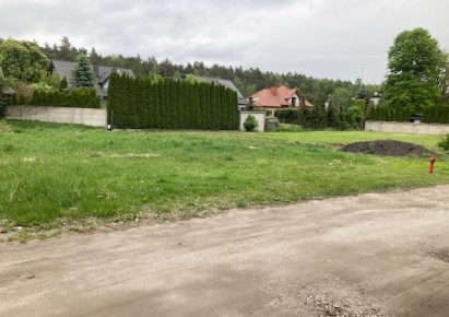 działka na sprzedaż - Aleksandrów Łódzki (gw), Sanie