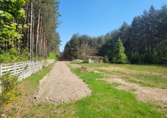 działka na sprzedaż - Bełchatów