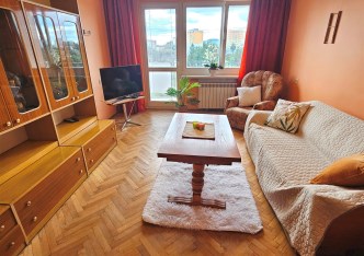 mieszkanie na sprzedaż - Łódź, Polesie, Karolew, Wileńska