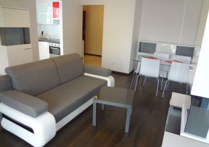 mieszkanie na wynajem - Łódź, Bałuty, Radogoszcz, Liściasta