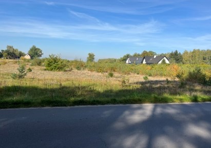 działka na sprzedaż - Aleksandrów Łódzki (gw), Ruda-Bugaj
