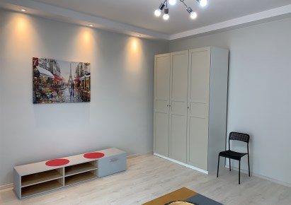 mieszkanie na wynajem - Łódź, Śródmieście, Manhattan