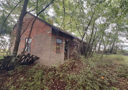 dom na sprzedaż - Tuszyn (gw), Górki Duże