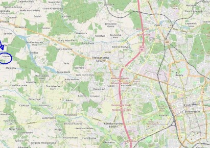 działka na sprzedaż - Lutomiersk, Trupianka, Orzechów